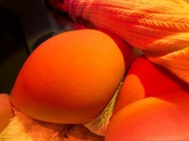 Фото проститутки Карина №2 в городе Новосибирск